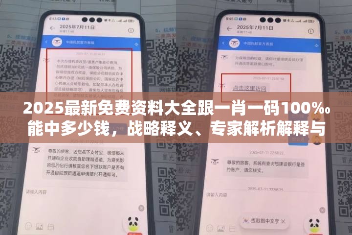 2025最新免费资料大全跟一肖一码100‰能中多少钱，战略释义、专家解析解释与落实,留心欺诈性营销