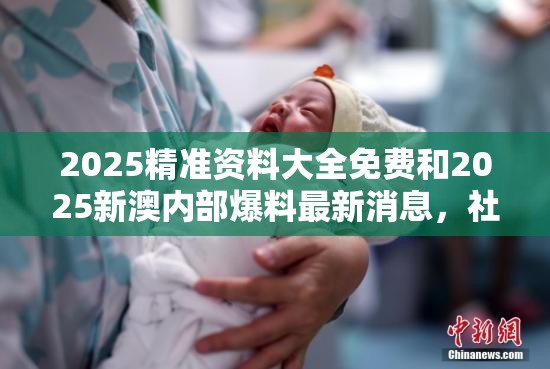 2025精准资料大全免费和2025新澳内部爆料最新消息，社会释义、解释与落实-留心欺诈性广告