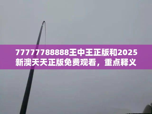 77777788888王中王正版和2025新澳天天正版免费观看，重点释义、解释与落实,警惕不实的钓鱼钩